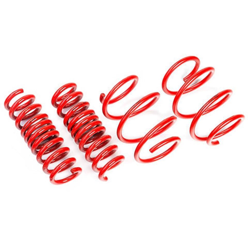 AST Lowering Springs | 2017-2023 Tesla Model 3 SR RWD/SR Plus RWD/Mid Range RWD (ASTLS-21-168)