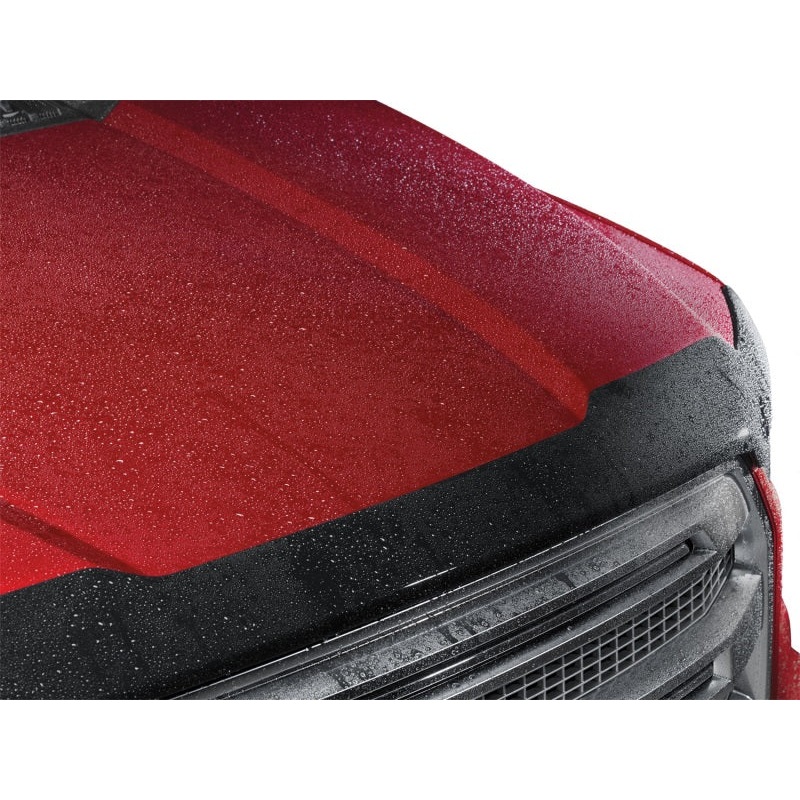 WeatherTech 2022 Honda Passport Hood Skin Protector – Black