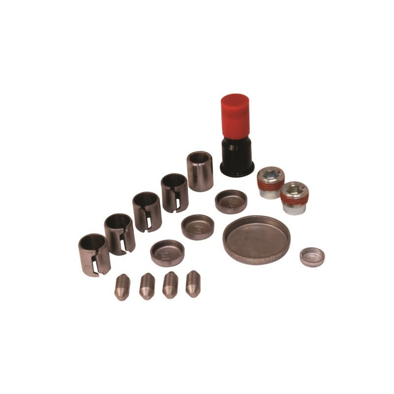 Ford Racing 4.6 Liter Aluminum Block Plug and Dowel Kit