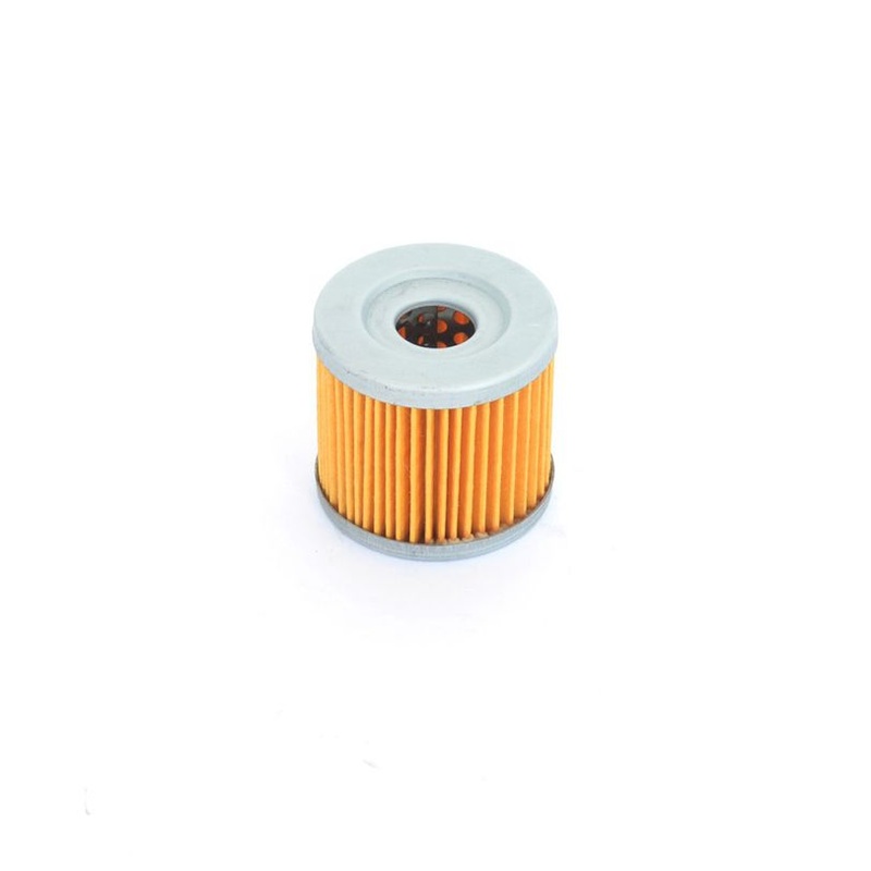 Athena FFC003 Oil Filter