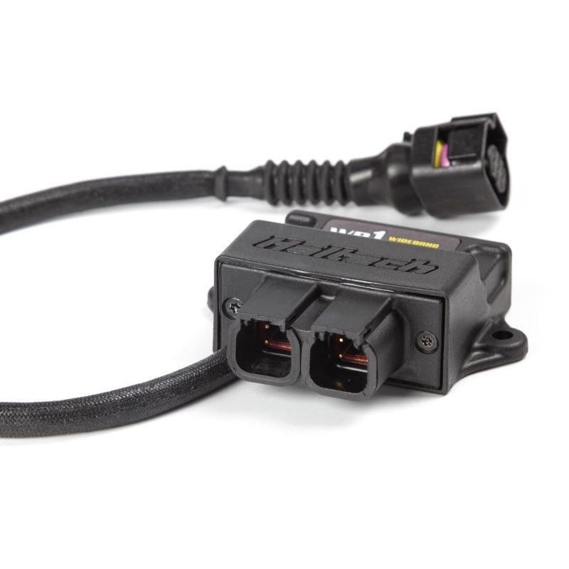 Haltech WB1 Single Channel CAN O2 Wideband Controller Kit
