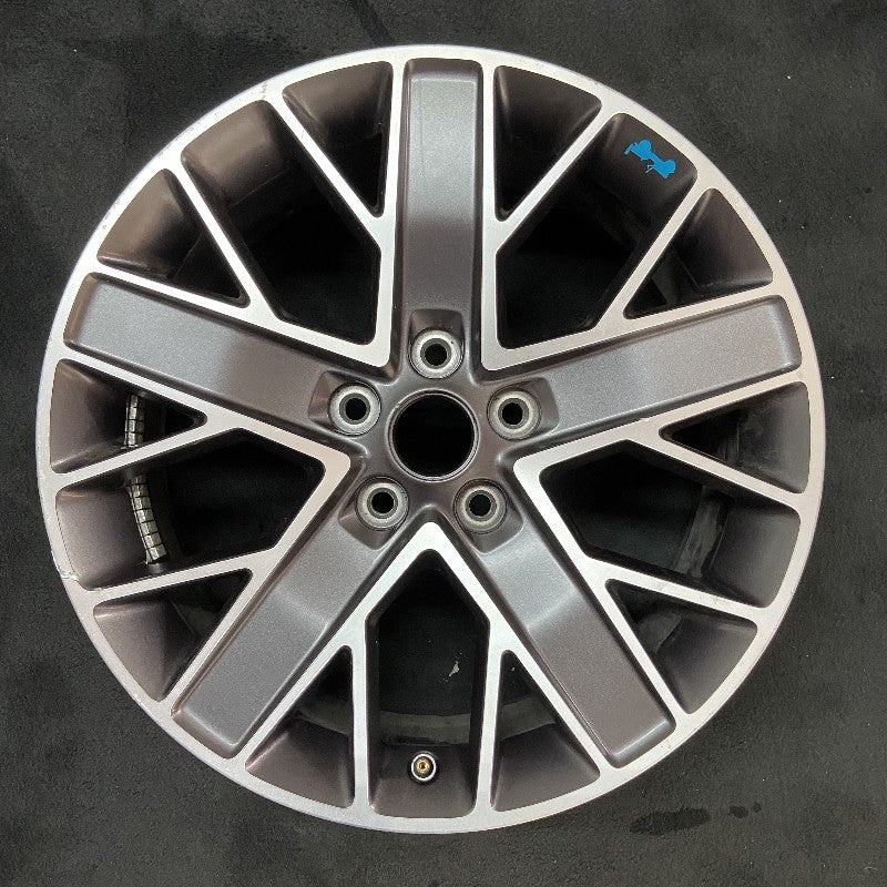 20″ WRANGLER 22-23 20×8 5 spoke double spoke Original OEM Wheel Rim