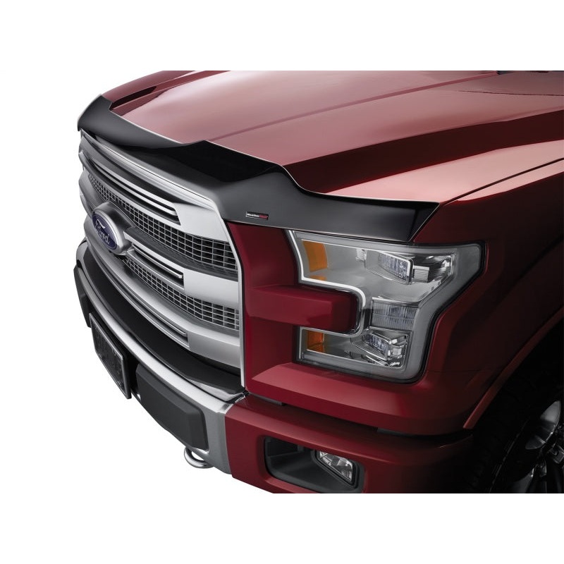 WeatherTech 15+ Ford F-150 Hood Protector – Black