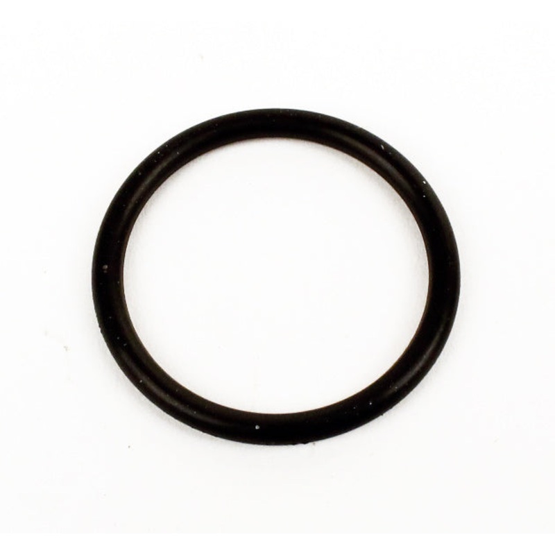 1218. 555601 Briggs Animal, LO206 Carb O-Ring